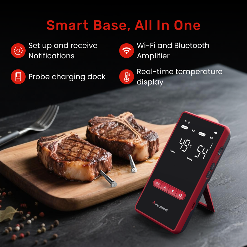 Meatmeet X Pro Smart Θερμόμετρο Κρέατος Wi-Fi & Bluetooth με 2 Probes