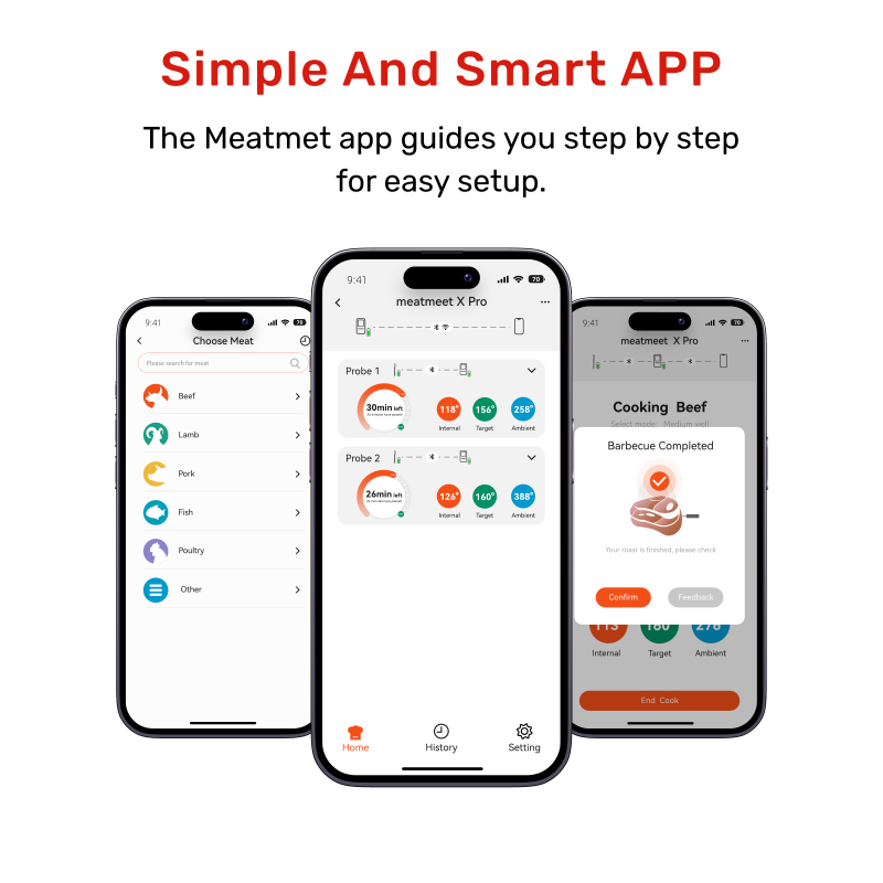 Meatmeet X Pro Smart Θερμόμετρο Κρέατος Wi-Fi & Bluetooth με 2 Probes
