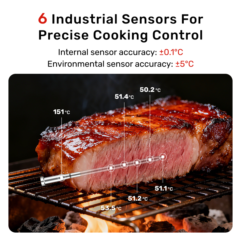 Meatmeet X Pro Smart Θερμόμετρο Κρέατος Wi-Fi & Bluetooth με 2 Probes