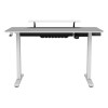 COUGAR Gaming Desk E-Star 120, Carbon