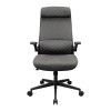 COUGAR Stryder Gaming/Office Chair, Fabric, Gray